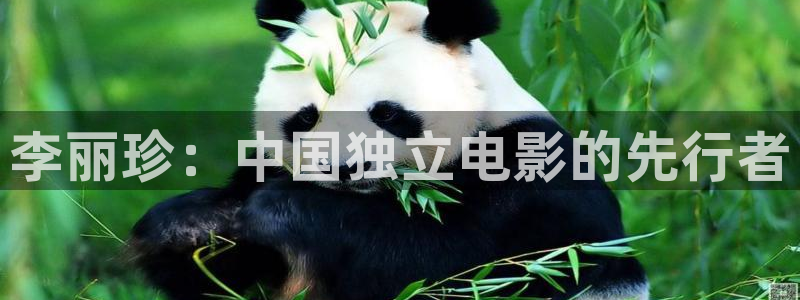 追球电视剧免费观看完整版西瓜：李丽珍：中国独立电影的先行者