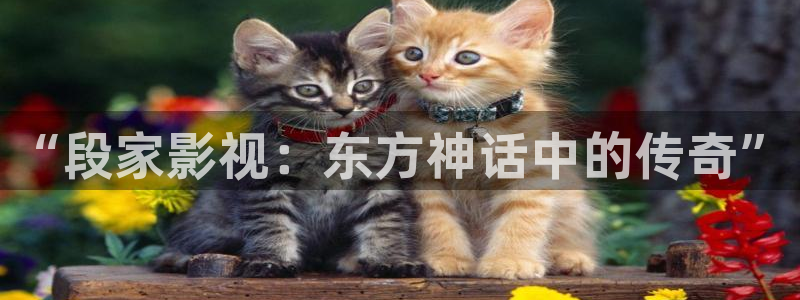 飘雪电影西瓜：“段家影视：东方神话中的传奇”