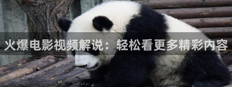 一起同过窗西瓜免费观看：火爆电影视频解说：轻松看更多精彩内容