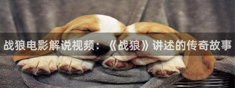 最好的我们免费观看全集西瓜：战狼电影解说视频：《战狼》讲述的传奇故事