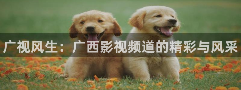 西瓜影院天狼影院：广视风生：广西影视频道的精彩与风采