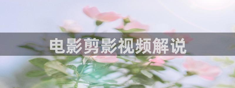 2025西瓜影院：电影剪影视频解说