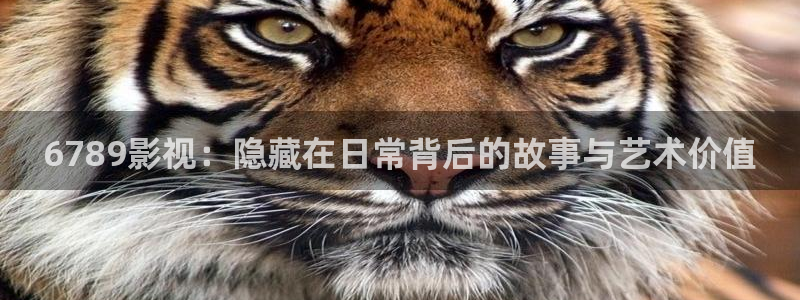西瓜吧：6789影视：隐藏在日常背后的故事与艺术价值