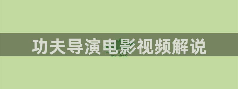 免费观看电视剧西瓜：功夫导演电影视频解说