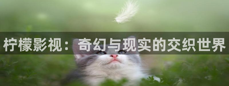 西瓜影院手机版 下载