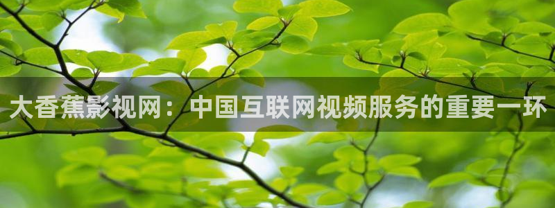 西瓜影院网页版：大香蕉影视网：中国互联网视频服务的重要一环